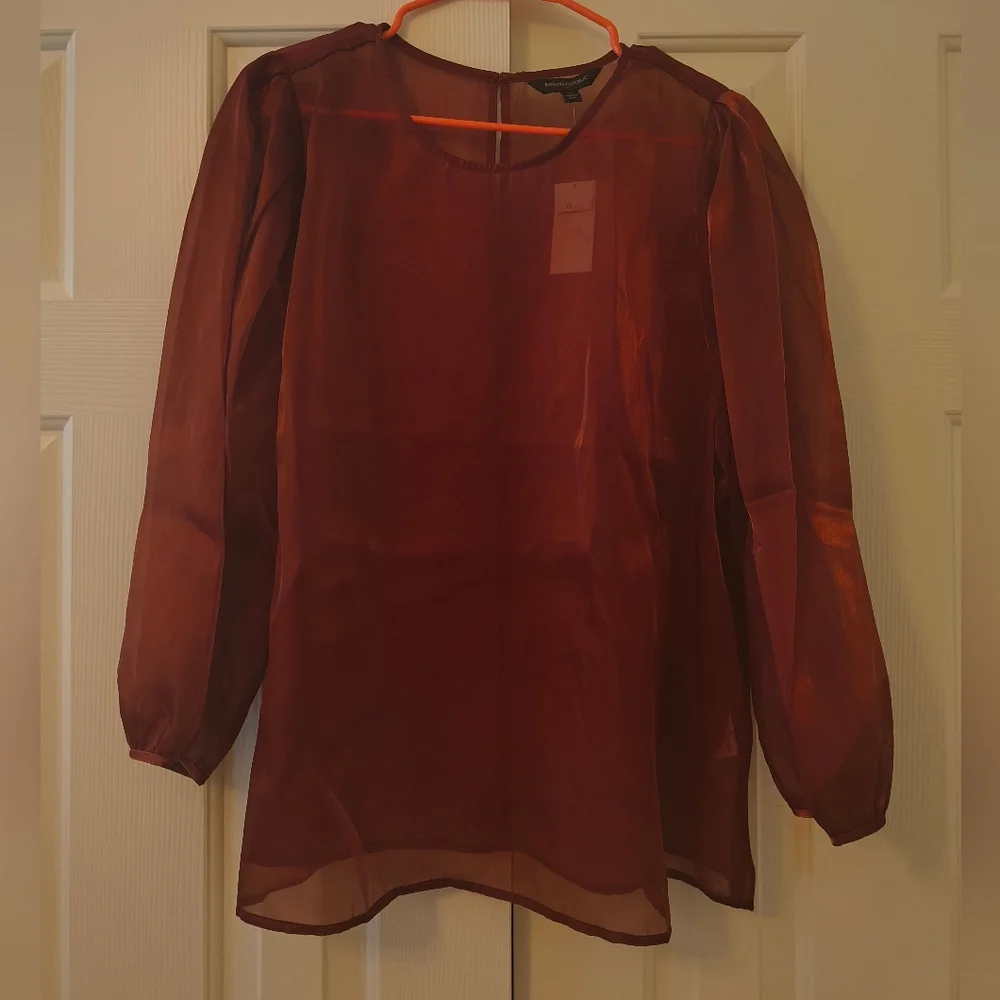 Banana Republic Burnt Orange Sheer Blouse - Picture 1 of 4